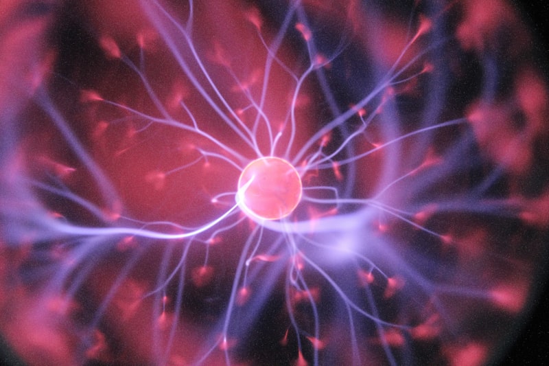Neurology